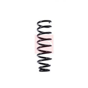 Apec 2 x Suspension Springs ACS1374