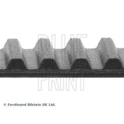 Blue Print Timing Belt Cambelt 151 Teeth ADN17508