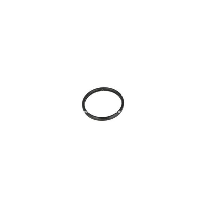NRF Thermostat,Coolant 725134