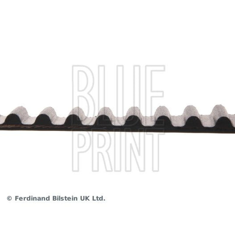 Blue Print Timing Belt Cambelt 111 Teeth ADN17519