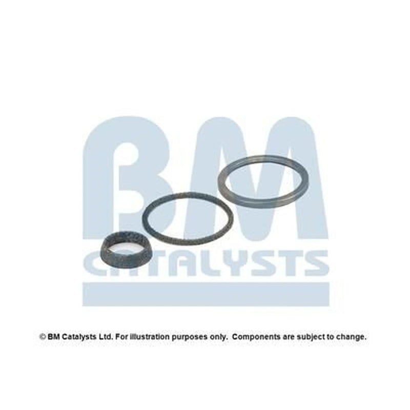 BM Catalysts Fitting Kit FK91259A FK91259A