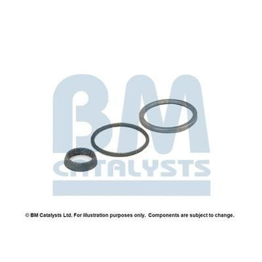 BM Catalysts Fitting Kit FK91259A FK91259A
