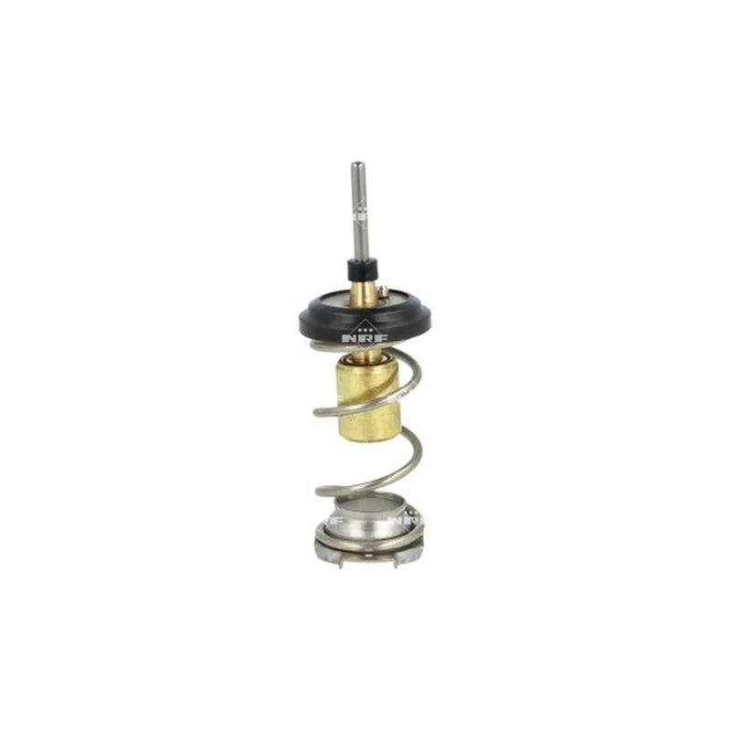 NRF Thermostat,Coolant 725093