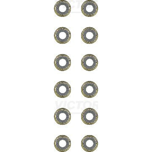 Victor Reinz Valve Stem Seal Set ID High 12-39357-01