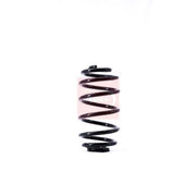 Apec 2 x Suspension Springs ACS1392