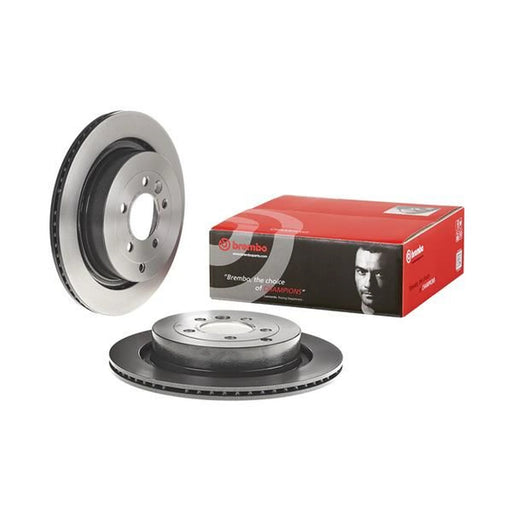 Brembo 2 x Rear Brake Discs 09.8876.31