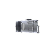 Mahle Air Conditioning Compressor ACP 668 000S