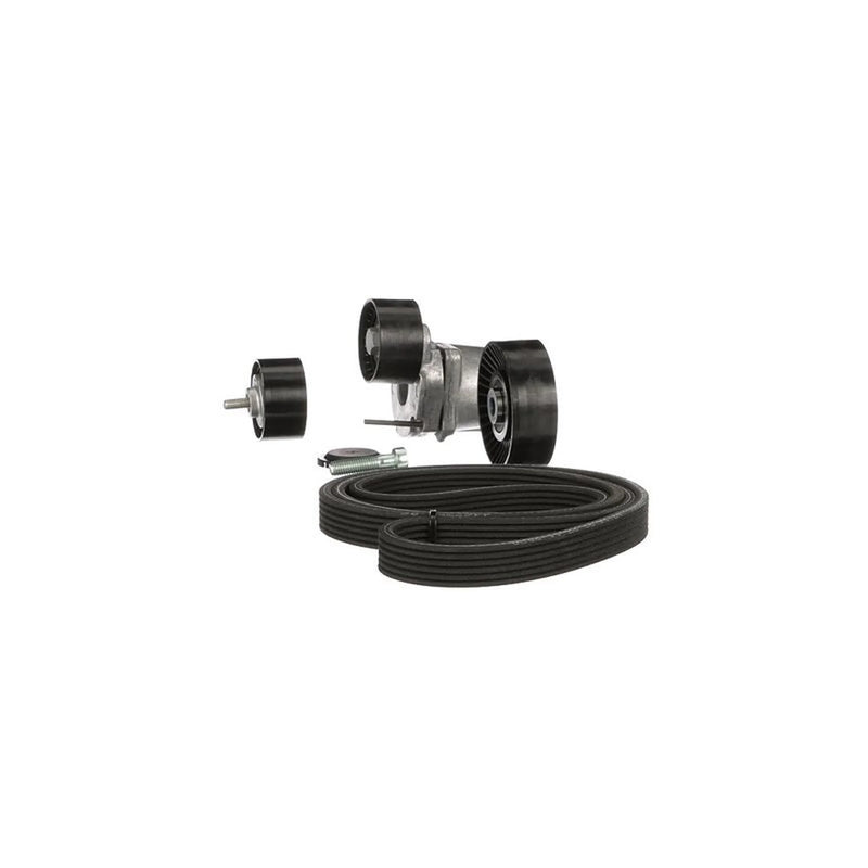 Gates V-Ribbed Belt Set K036DPK1698