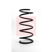 Apec Front Suspension Coil Spring ACS1005