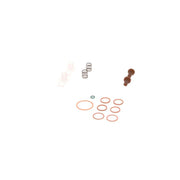 Bosch Fuel Pump Repair Kit 2 447 010 004
