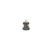 NRF Thermostat,Coolant 725225