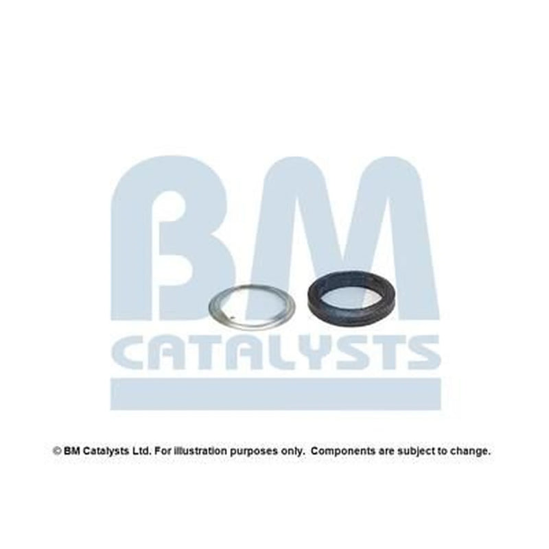 BM Catalysts Fitting Kit FK11187A FK11187A