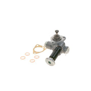 Bosch Fuel Pump Assembly 0 440 008 980