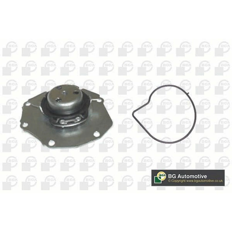 BGA Engine Cooling Water Pump CP4208