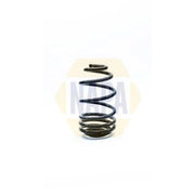 NAPA Rear Suspension Coil Spring NCS1244
