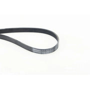 Continental CTAM Multi V-Ribbed Drive Belt 6PK2523