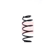 Apec Front Suspension Coil Spring ACS1456