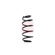 Apec Front Suspension Coil Spring ACS1456