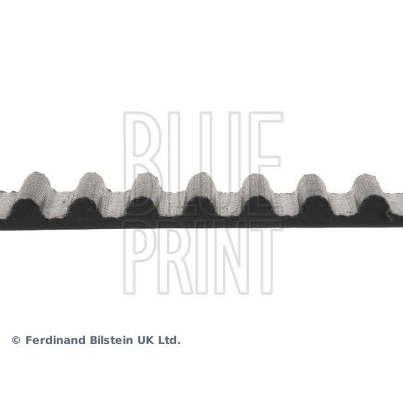Blue Print Timing Belt Cambelt 146 Teeth ADA107503
