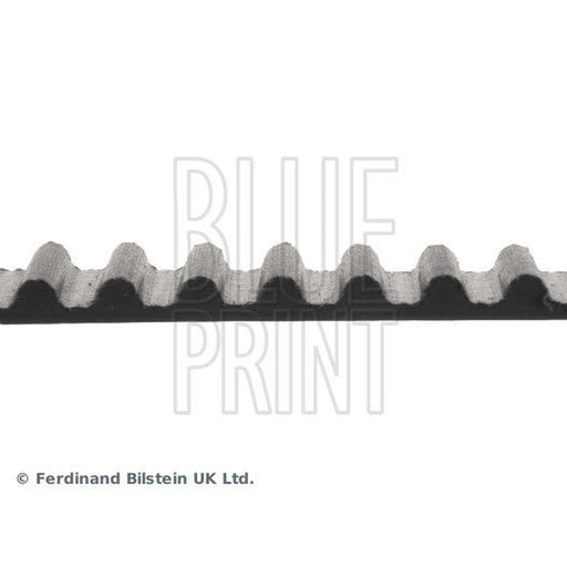 Blue Print Timing Belt Cambelt 146 Teeth ADA107503
