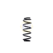 NAPA Rear Suspension Coil Spring NCS1539