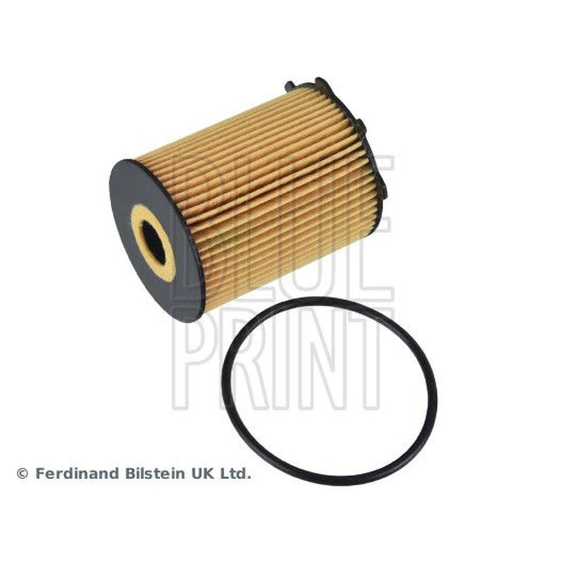 Blue Print Engine Oil Filter ADM52119