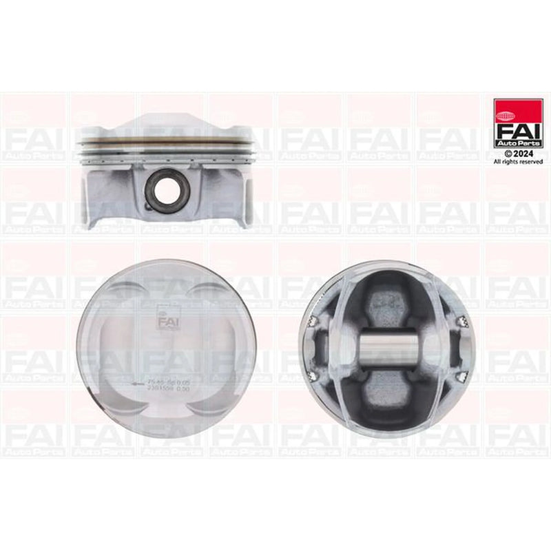 FAI Piston Cylinder Bore = PK252-050