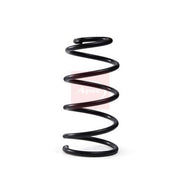 Apec Front Suspension Coil Spring ACS2186