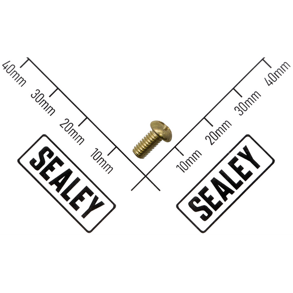Sealey Carbon Brush Holder Screw (B)