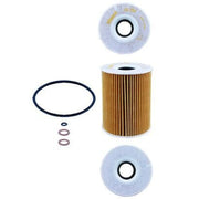 Mahle Engine Oil Filter OX 254D3