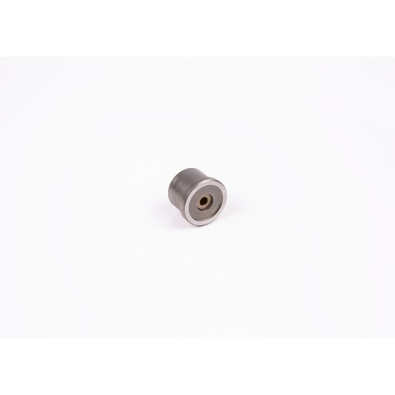Bosch Engine Control Valve 2 418 554 063