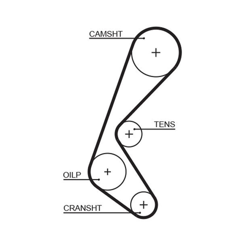 Gates Timing Belt Cambelt 131 Teeth 5628XS