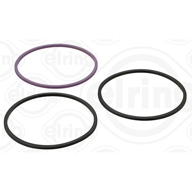 Elring Cylinder Liner Gasket Set Thick 308.930
