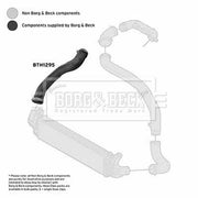 Borg & Beck Intercooler Turbo Charge Air Hose BTH1295