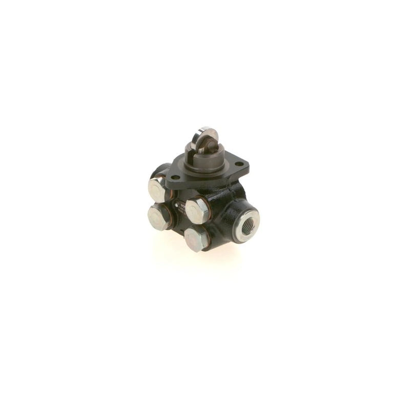 Bosch Fuel Pump Assembly 0 440 008 189