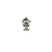 NRF Thermostat,Coolant 725199