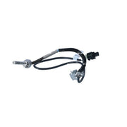 NRF Exhaust Gas Temperature Sensor before soot partic 707281