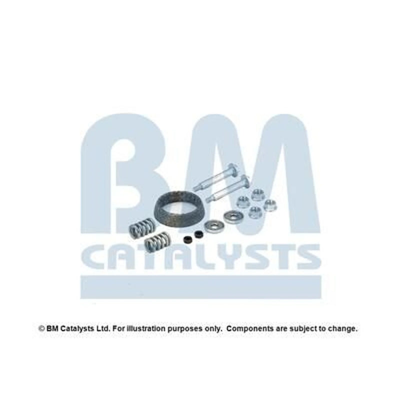 BM Catalysts Fitting Kit FK91291C FK91291C