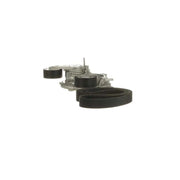 Gates V-Ribbed Belt Set K016PK1120EST