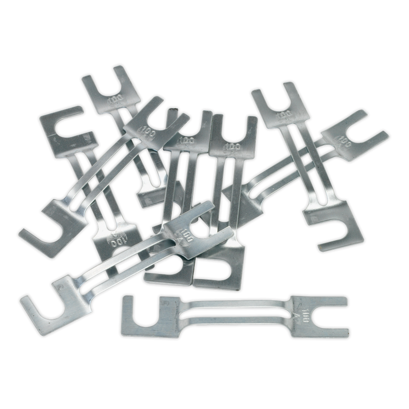 Sealey 100A Fuse 99 x 20mm - Pack of 10