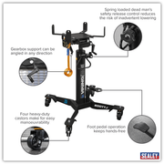 Sealey Viking Telescopic Vertical Transmission Jack 600kg Capacity