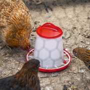 Sealey Poultry Feeder Model AFT02 1.5kg