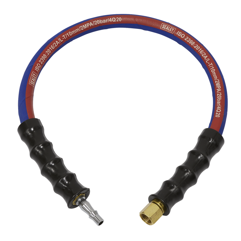 Sealey Air Leader Hose 600mm x 10mm with Tailpiece & BSP Union
