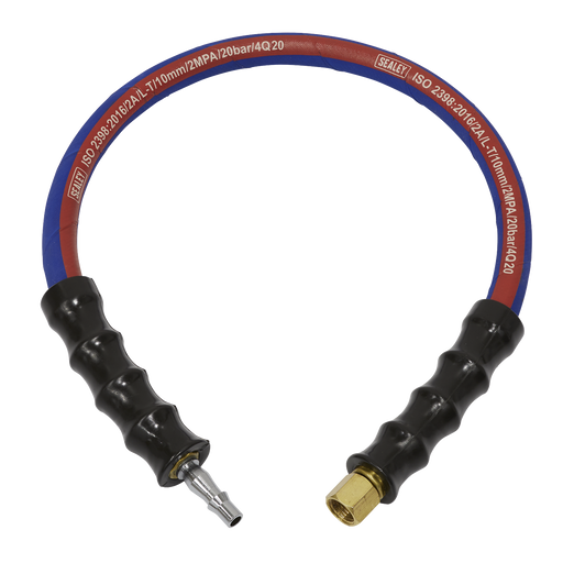 Sealey Air Leader Hose 600mm x 10mm with Tailpiece & BSP Union