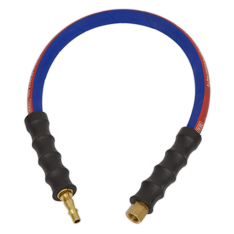 Sealey Air Leader Hose 600mm x 8mm with Tailpiece & BSP Union