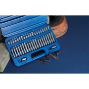 Sealey Premier TRX-Star Hex Spline Bit Set 42 Piece 3/8" & 1/2" Drive