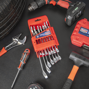 Sealey Premier Combination Spanner Set 14 Piece 8-24mm