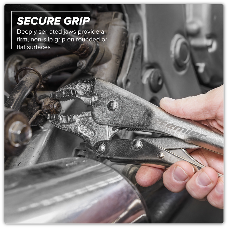 Sealey Premier Locking Pliers Set 10 Piece with Foam Tray AK6802