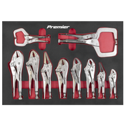 Sealey Premier Locking Pliers Set 10 Piece with Foam Tray AK6802