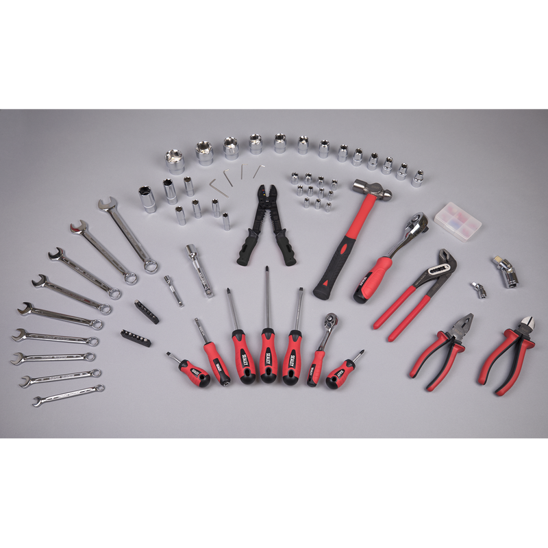 Sealey Mechanic's Tool Kit 100 Piece with 1/4" & 1/2" Drive